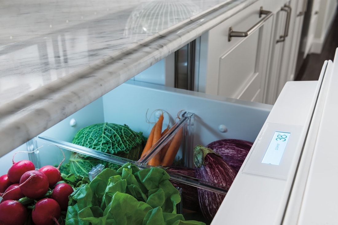 Sub-Zero 24" Designer Refrigerator Drawers - Panel Ready ...