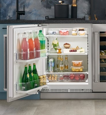 Designer Undercounter  Sub-Zero 24 Refrigerator DEU2450R