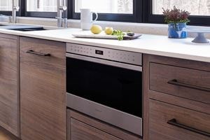 Wolf 24&quot; transitional drawer microwave (MD24TE)