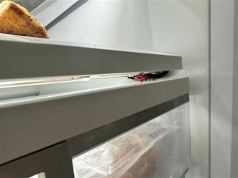 CL Tension Bar Wire Harness B.png