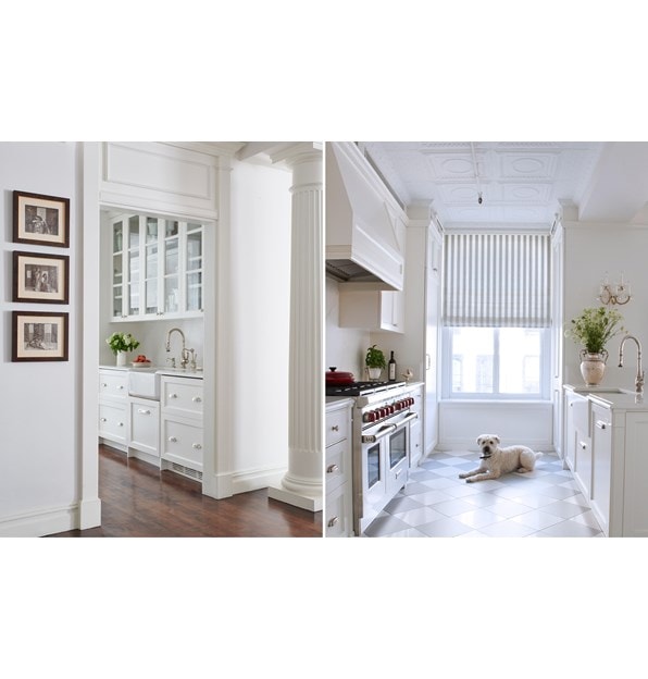 Sub-Zero, Wolf, and Cove Kitchen Design Contest Finalist, Elizabeth Steimberg of Elizabeth Steimberg Architects from New York, NY, USA