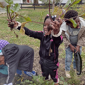 An exterior-generated image of the future YMCA building that the Sub-Zero Foundation helped support in Cedar Rapids, IA.