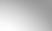 Bezel Color