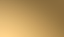 Bezel Color
