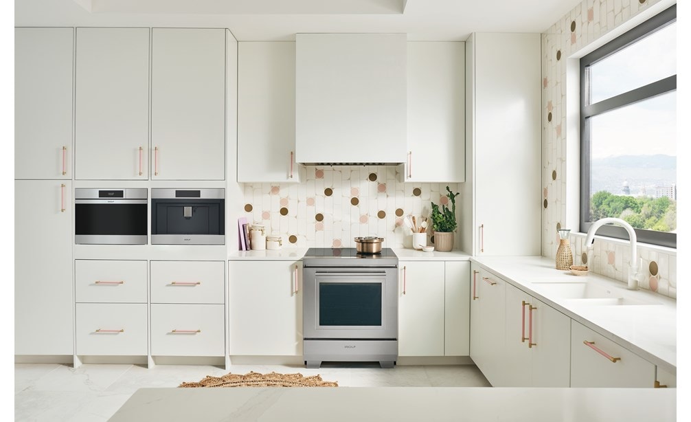 Wolf 24" M Series Contemporary Stainless Steam Oven Plumbed (CSOP2450CM/S)