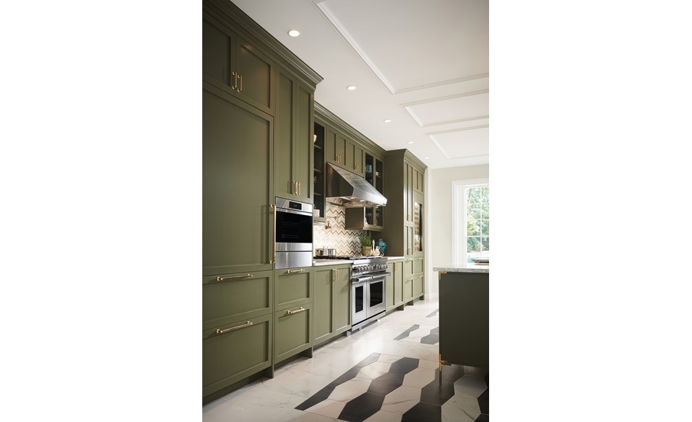 Wolf 24" E Series Transitional Convection Steam Oven (CSO24TE/S/TH) adds exquisite color to any kitchen while serving gourmet results