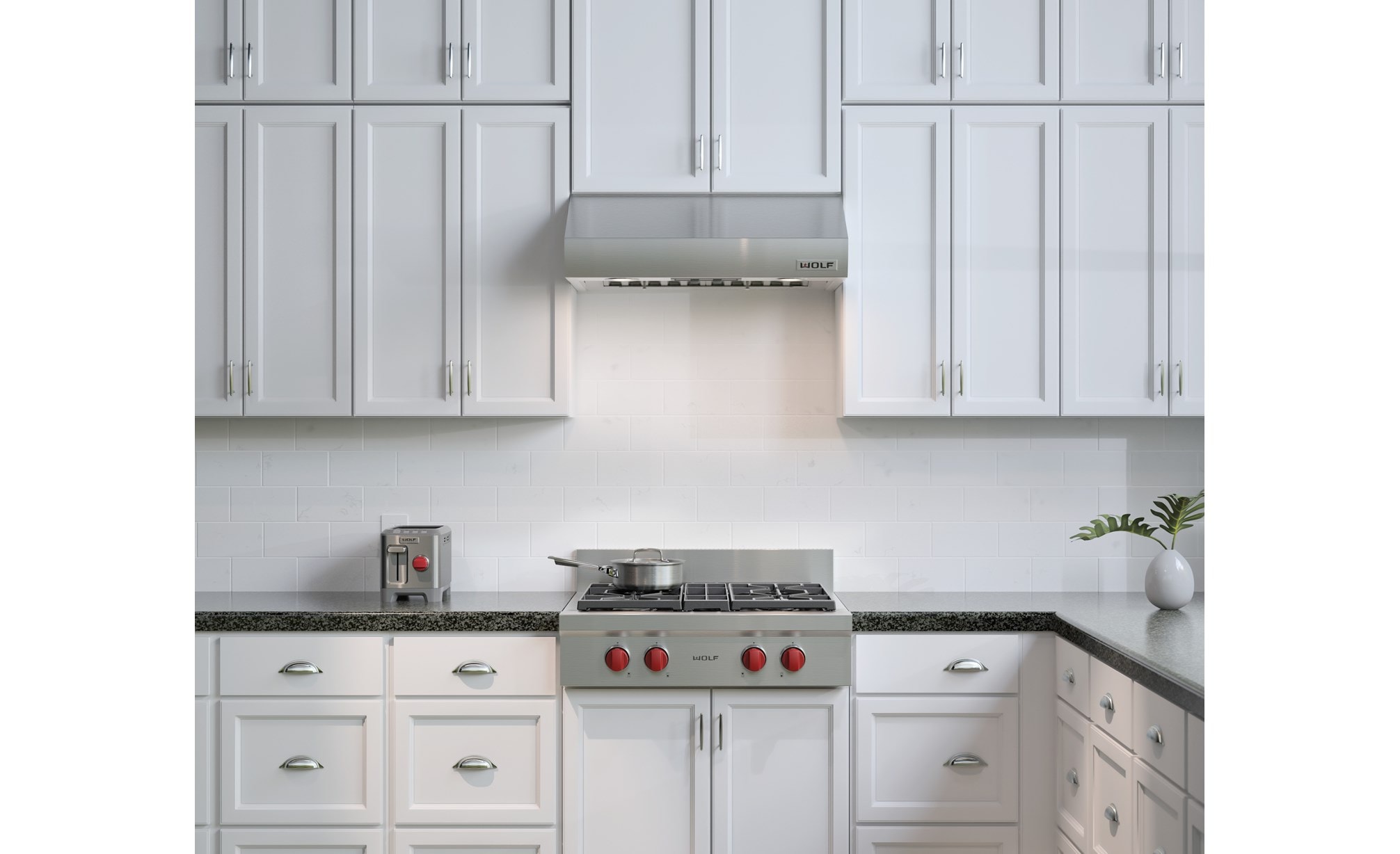 Wolf 30" Low Profile Wall Hood (PW302210)