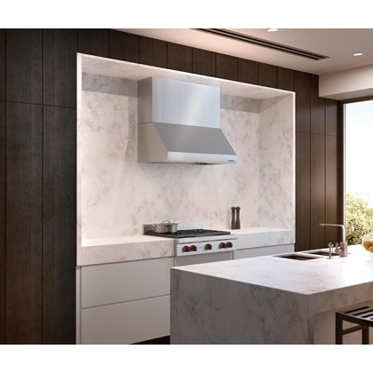 Wolf 42" Pro Wall Hood - 24" Depth (PW422418)