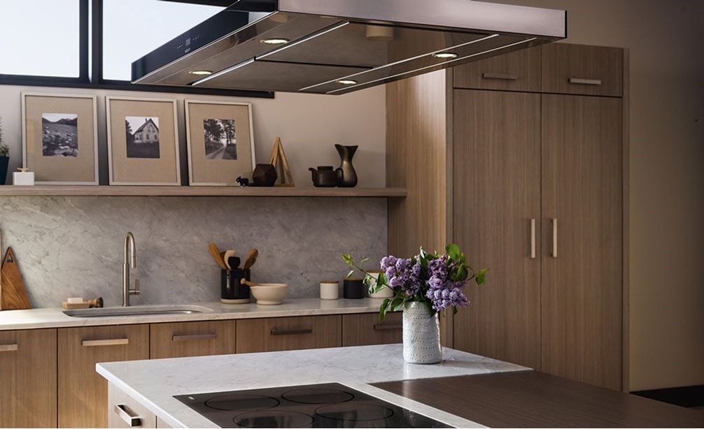 Bi36so Sub Zero Refrigerator Panels