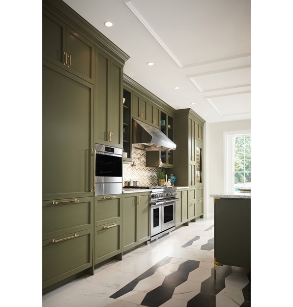 Wolf 24" E Series Transitional Convection Steam Oven (CSO24TE/S/TH) adds exquisite color to any kitchen while serving gourmet results