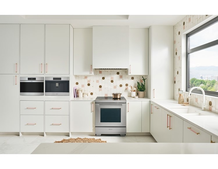 Wolf 24" M Series Contemporary Stainless Steam Oven Plumbed (CSOP2450CM/S)