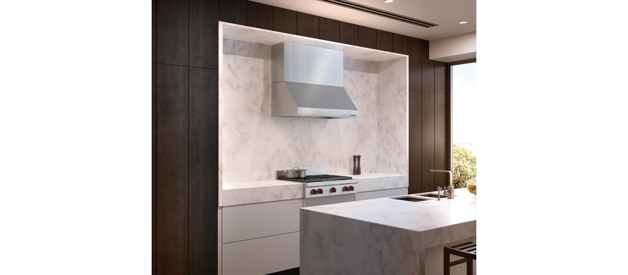 Wolf 42" Pro Wall Hood - 24" Depth (PW422418)